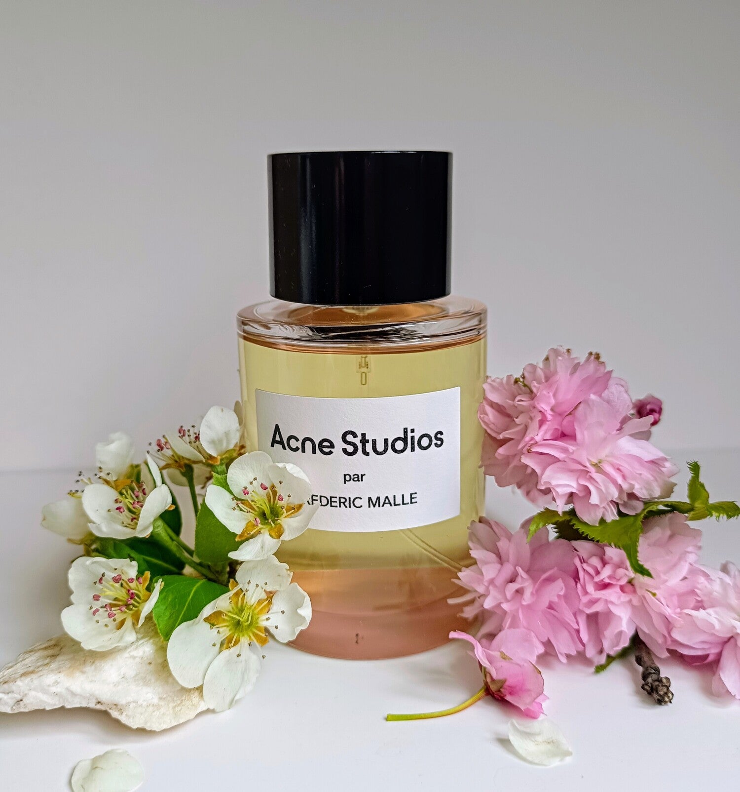 Acne Studio EDP by Frederick Malle