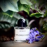 Inflorescence EDP by Byredo