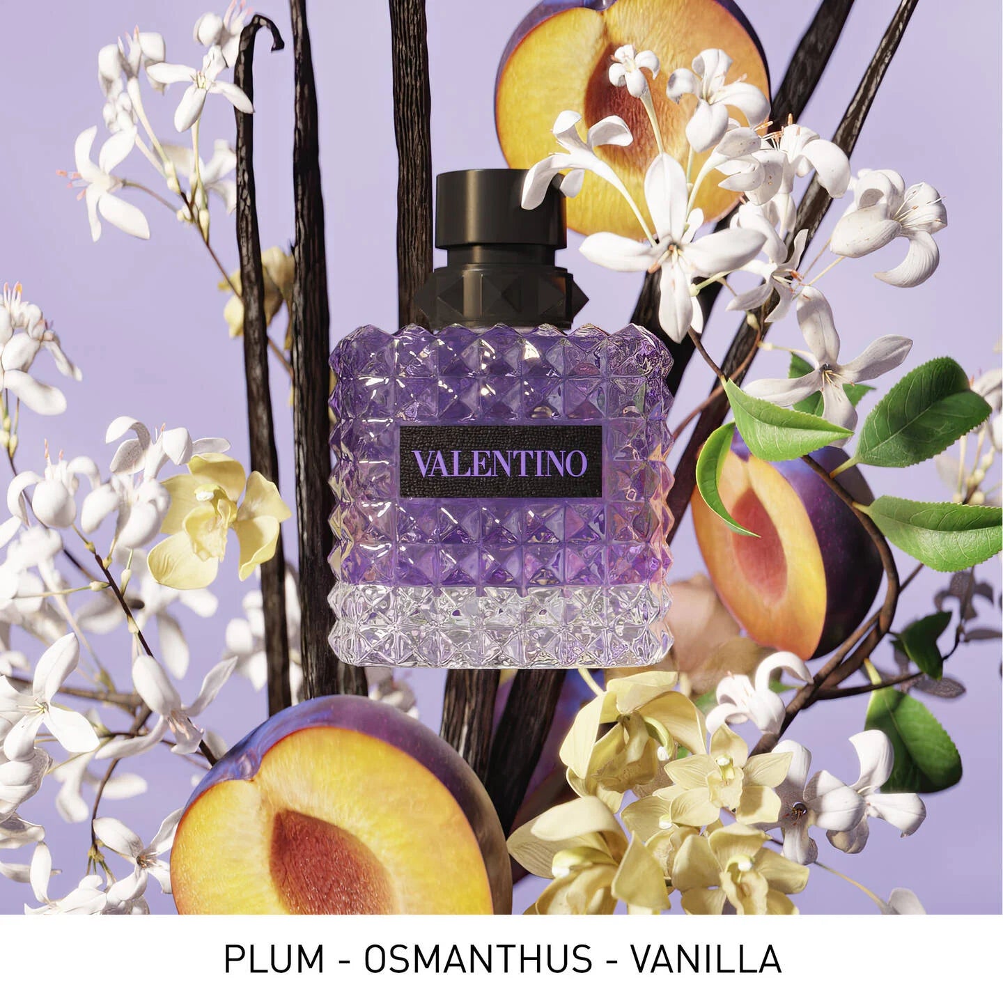 Melancholia EDP by Valentino