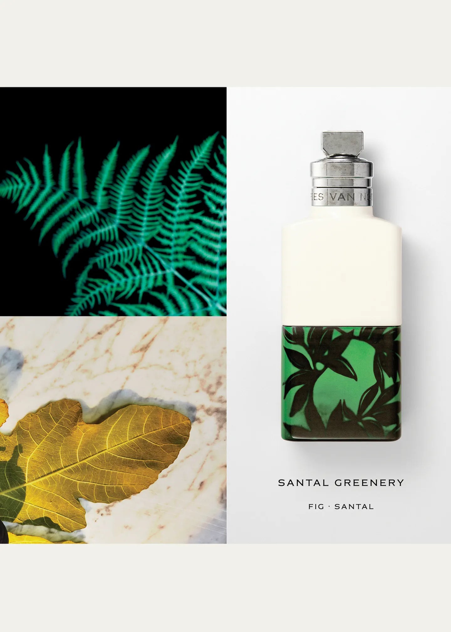Santal Greenery EDP by Dries Van Noten